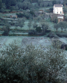 frost2