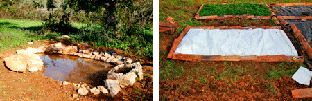 pond_beds