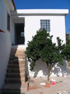 steps