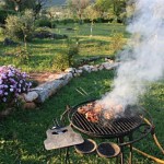bbq