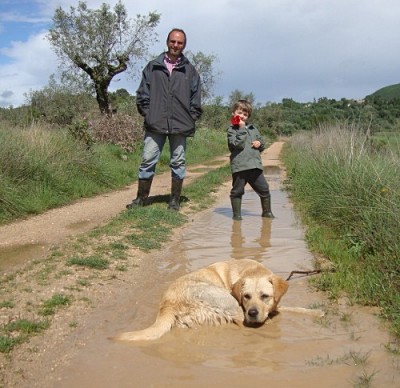 puddle