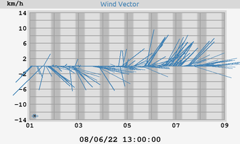 Wind Vector