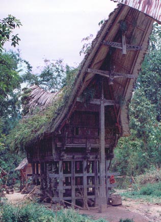 toraja house