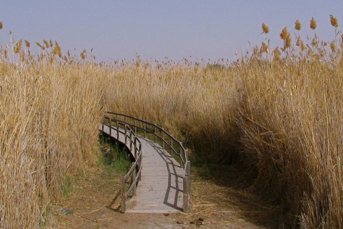 Azraq Reserve