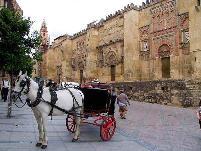 mesquita