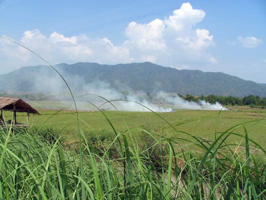 Burning off the stubble in the rice fields