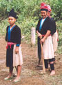White Hmong Sin Ho